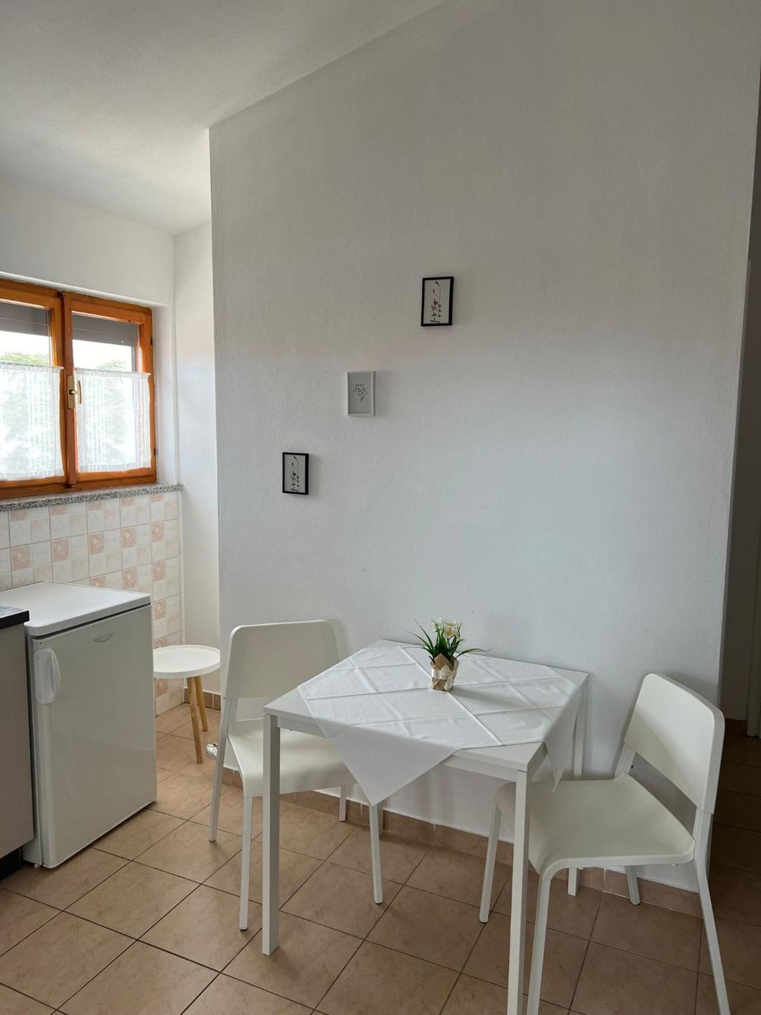 Apartments And Rooms Lorena 236 Rovinj Dış mekan fotoğraf